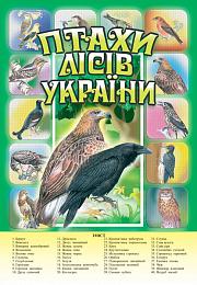 Книга "Птахи лісів України