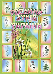 Книга "Рослини луків України"