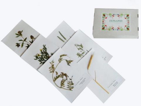 Гербарій "Систематика рослин. Родина Бобові. Злакові"