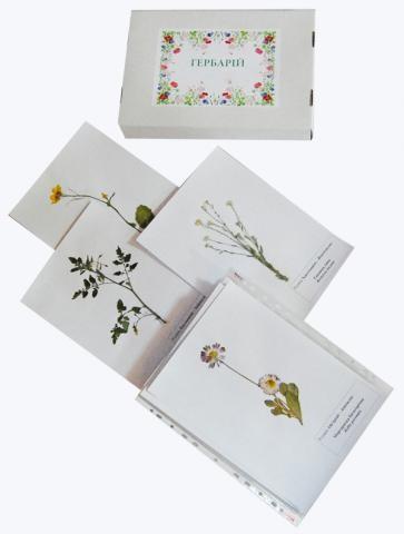 Гербарій «Систематика рослин. Родина Пасльонові. Хрестоцвіті. Складноцвіті»