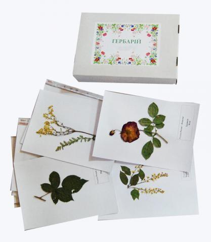 Гербарій «Систематика рослин. Родина Розоцвіті»