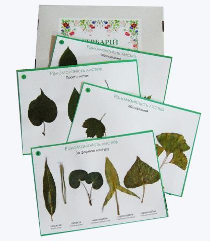 Гербарій «Морфологія листка»
