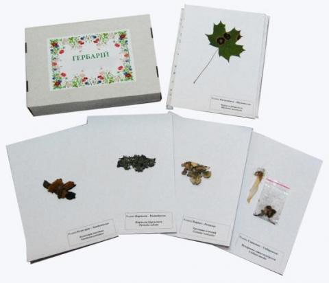 Гербарій «Водорості. Гриби. Лишайники»