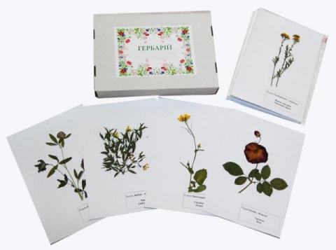 Гербарій «Життеві форми квіткових рослин»
