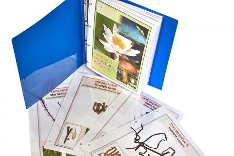 Гербарій «Основні групи рослин»