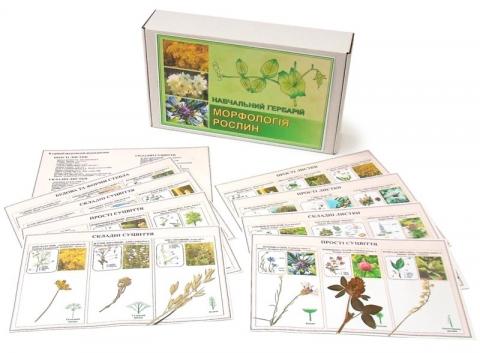 Гербарій «Морфологія рослин»